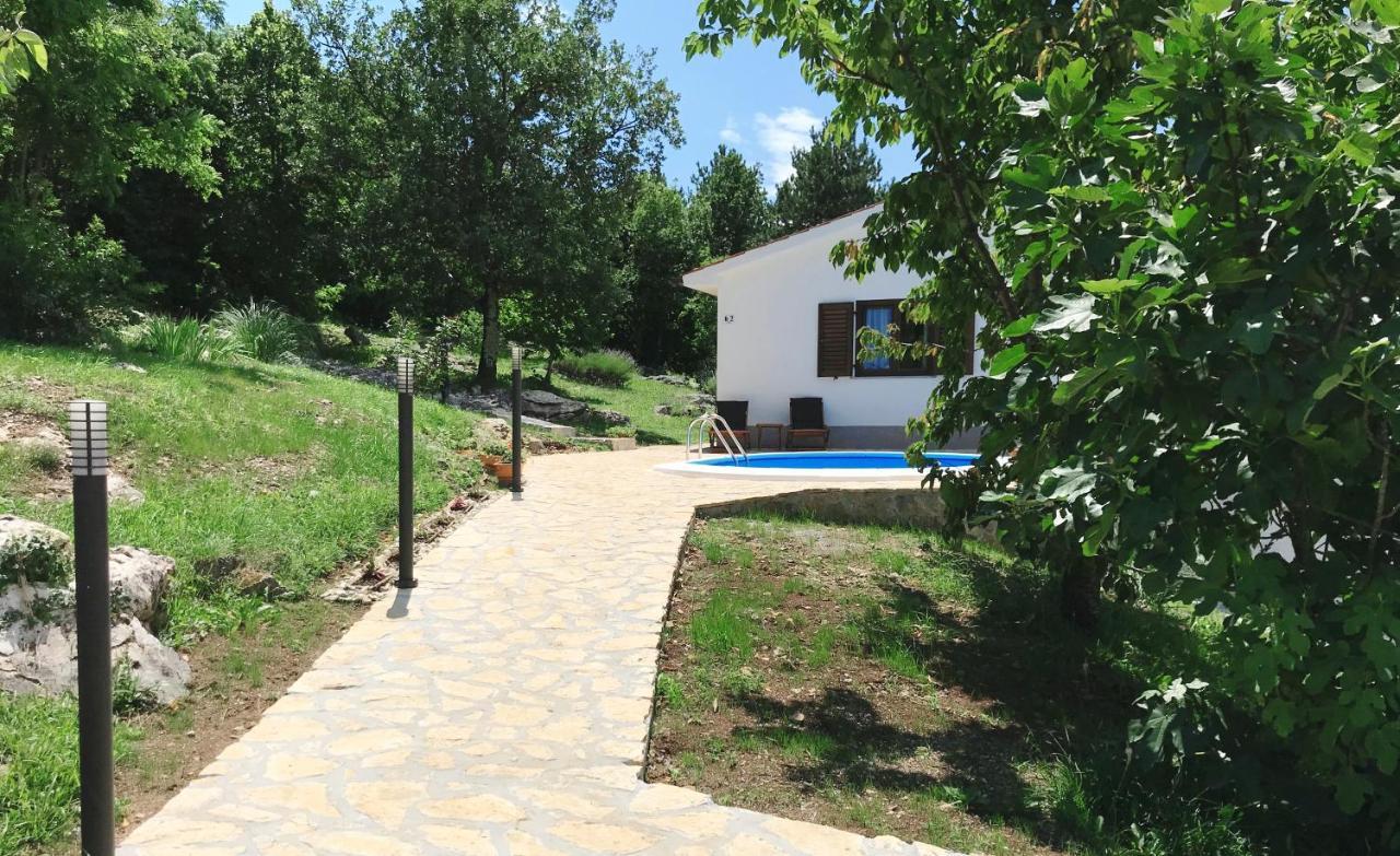 Deni Roč